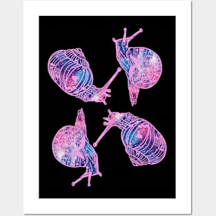 Space Snails Posters and Art